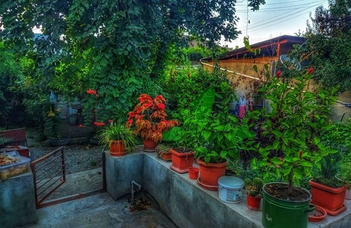 Azerbaijan House | SILENT HOUSE