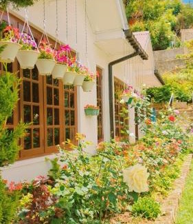 Hawa Eliya House | Silver Rose Holiday Home