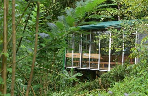 Kotapola Cabin | Sinharaja Kurulu Ella Eco Resort