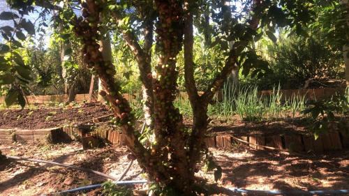 Bofete Villa | Sitio DusCosso