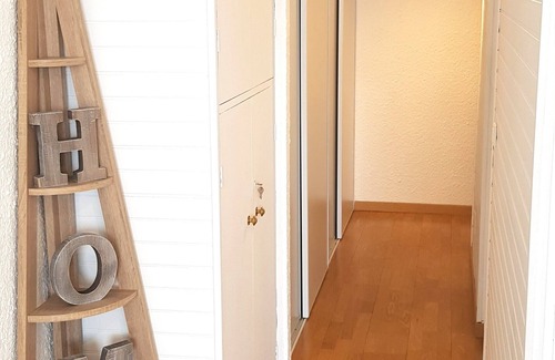 Montferrier Apartment | SKI APARTMENT AT THE FOOT OF THE SLOPES, MONTS D'OLMES (09)