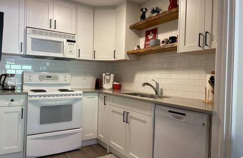 East Kootenay Condo | Ski In/Out Spectacular One Bedroom Condo Views Newly Reno’d