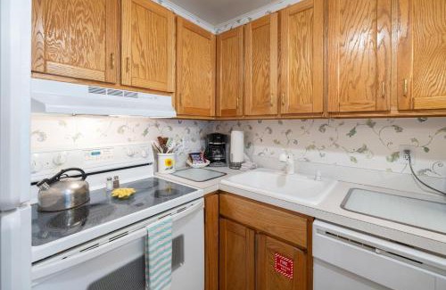 Crested Butte Apartment | Ski-in Ski-out Studio Private Balcony & Fireplace condo