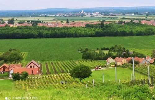 Velke Bilovice House | Sklípek u Svobodů