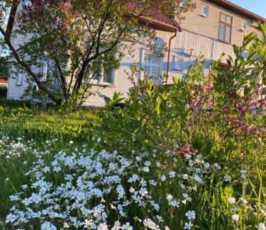 Skrunda Apartment | Skrunda Apartments Rustic