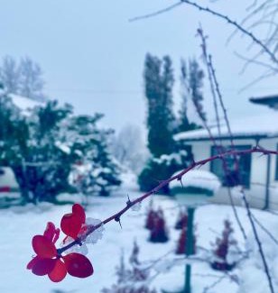 Central Serbia Villa | Skupljen Resort: Enjoy the Freedom!