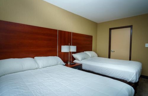 Flushing Chinatown Hotel | Sky Hotel Flushing/Laguardia Airport