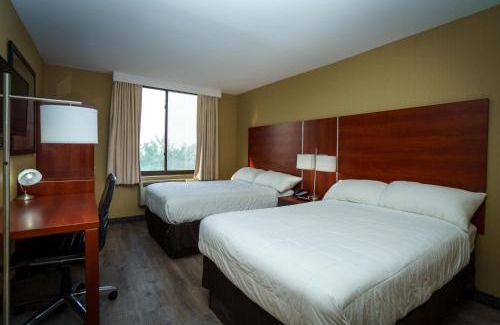 Flushing Chinatown Hotel | Sky Hotel Flushing/Laguardia Airport