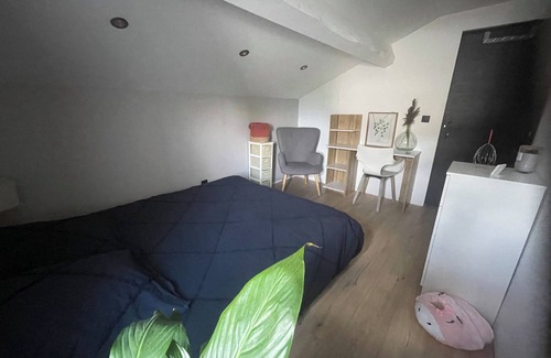Saint-Symphorien-d'Ozon Bed & Breakfast | Sleek bedroom