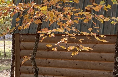 Hugo House | Small one room cabins with no bathrooms hot tub and covered picnic tables.