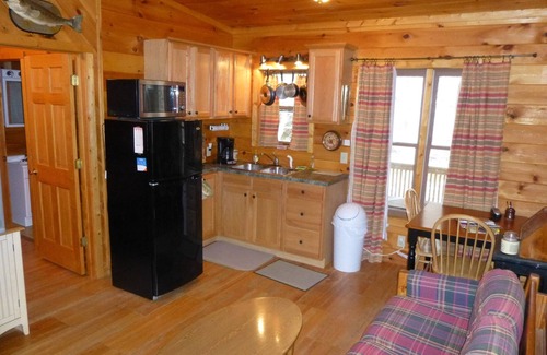 Lansing Cabin | Small, quiet, romantic, reasonably priced cabin, next to a great trout stream