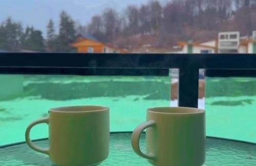 Bakuriani Apartment | snow forest bakuriani apartment eight