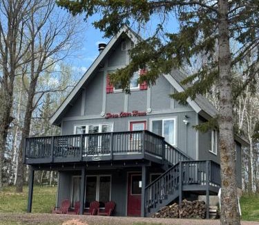 Bessemer House | Snow Otter Haus - 1