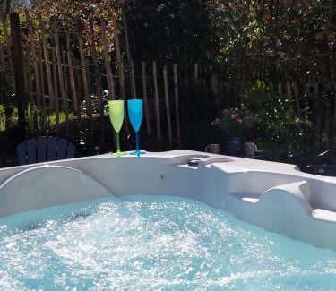 Blaencelyn House | Snuggle hot tub Dolgoy