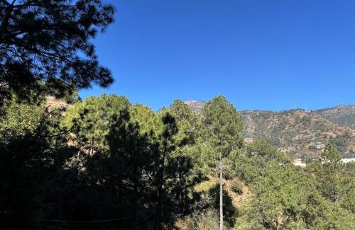 Solan Apartment | Solan Woods - Cozy Studio Apartment in Chester Hills, Solan