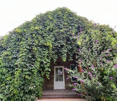 Issyk-Kul Region House | Solnyshko 27