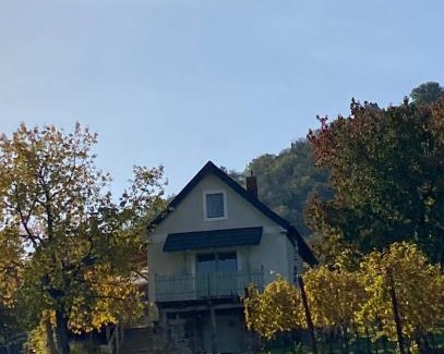 Doba House | Somlói Provence