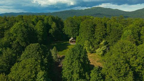 Hrib pri Hinjah Ski Chalet | Somova gora chalet in the woods