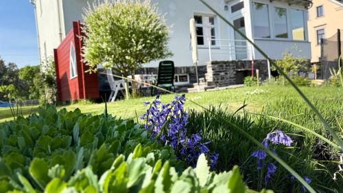 Thalheim/Erzgeb. Apartment | Sonnige Helene
