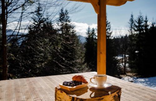 Wegierska Gorka Ski Chalet | Sopki Stopki Polana Wspólna