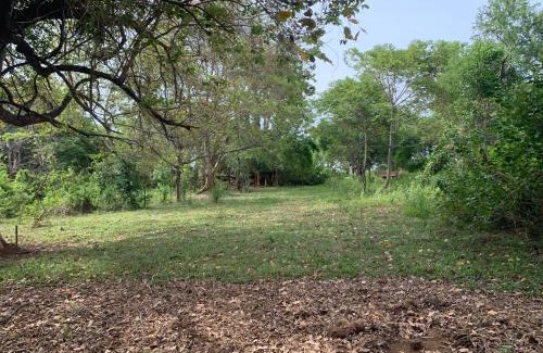 Mahiyanganaya Other | Sorabora like view camps