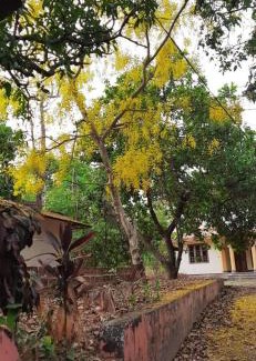 Talipparamba Apartment | Souparnika Homestay