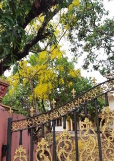 Talipparamba Apartment | Souparnika Homestay