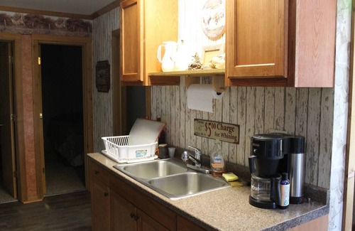 Thompsonville Cabin | Southern Il. Lodge with a View and a pond