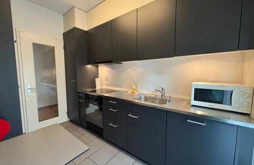 Muhlebach Apartment | Spacious 1BDR near Lake and Opera - Mill 3.11