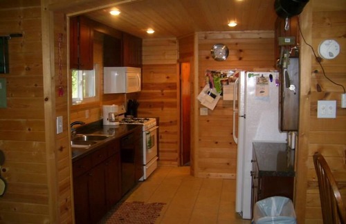 Tomahawk Cabin | Spacious Cabin on Bay of Lake Nokomis