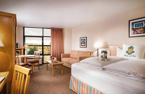 University District Hotel | Spacious King Suite, Tropical Welcome, Staypineapple, Easy UW Access