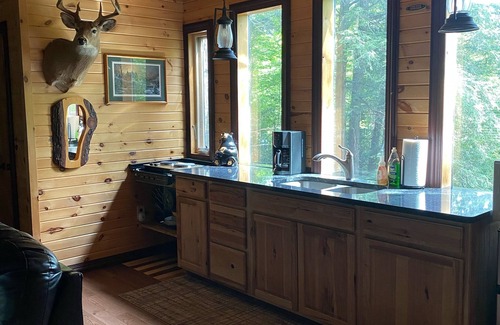 Gleason Cabin | Spacious Tree House w/River & Trail Access