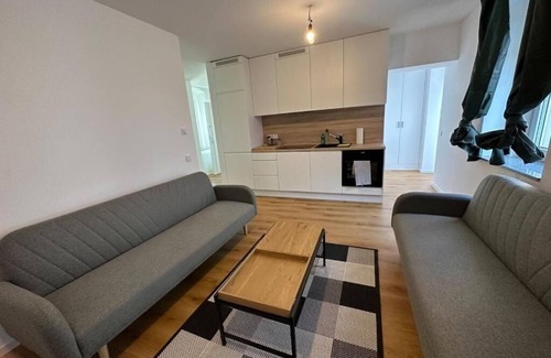 Outer Neustadt Apartment | Spacious vacation apartment in Dresden Neustadt - your stylish temporary home