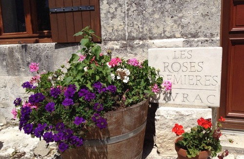 Saint-Fort-sur-Gironde House | Special Offer! Beautiful hill top House with Private Heated Pool, Stunning Views