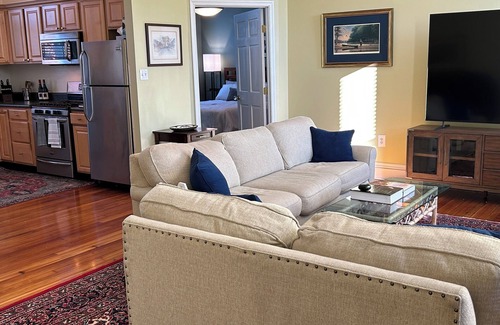 Mosby Apartment | Spectacular, two-bedroom apartment near downtown RVA.