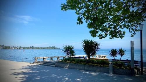 Rorschach Apartment | Spielzimmer am Bodensee