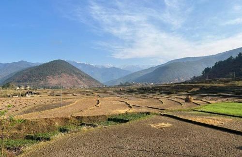 Punakha Hotel | Spirit Village Lodge