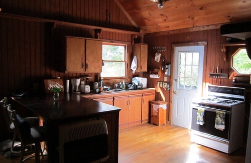 Brevard Cabin | Spotted Rock Cabin - Hot Tub - Pets