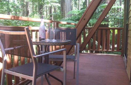 Springbrook Cabin | Springbrook Mountain Chalets