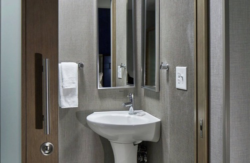 Paw Creek Hotel | SpringHill Suites by Marriott Charlotte at Carowinds