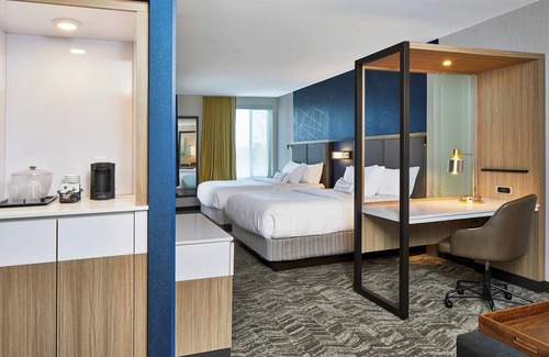 Paw Creek Hotel | SpringHill Suites by Marriott Charlotte at Carowinds