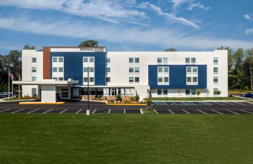 Dover Hotel | SpringHill Suites by Marriott Frederica