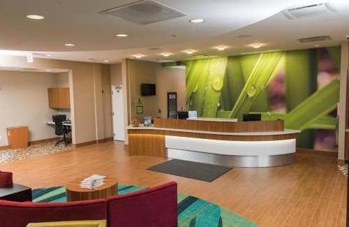Williamsville Hotel | SpringHill Suites by Marriott Buffalo Airport