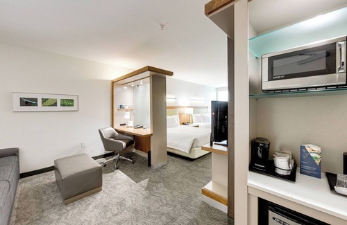 College Park Hotel | SpringHill Suites Houston The Woodlands