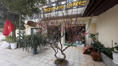 Bac Ha Bed & Breakfast | square Homestay & coffee