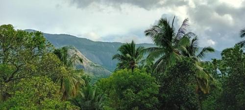 Chittur House | Sradha Farm Stay - Kollengode