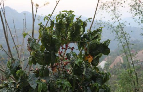 Manigram House | Srijana Farm