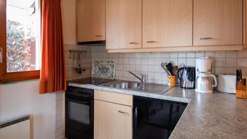 Fiesch Apartment | Stachelbeere UG