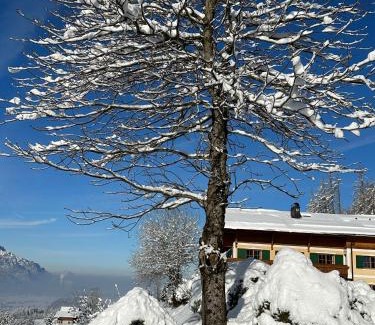 Scheffau am Tennengebirge Hotel | Stallerhof