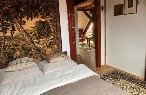 Szczytno Apartment | Stara Kamienica